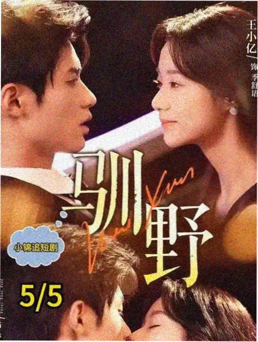 亚洲剧集回声档案封面